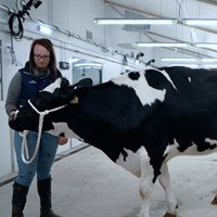 Centre for Digital Innovation Applied to Livestock (C-DIAL) | CIEL