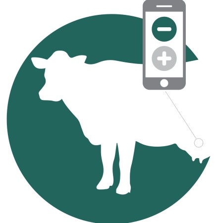 AMR Graphic | RapiPath