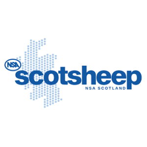 NSA Scotsheep 1 June 2022