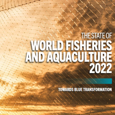 Towards blue transformation