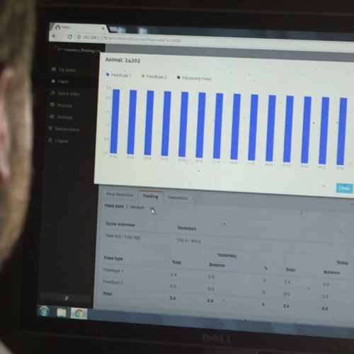 Helen side image Getting Down with Data