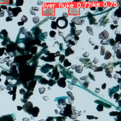 Artificial intelligence breakthrough for animal infection detection