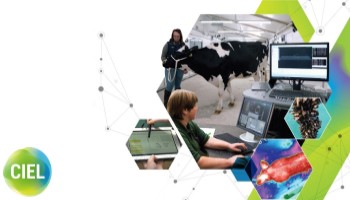 CIEL INSIGHTS
