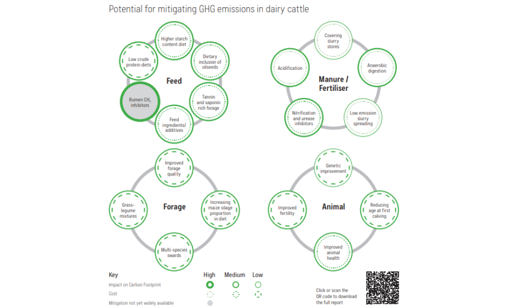 World Fisheries and Aquaculture 2022