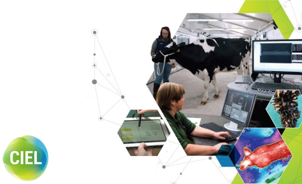 FS Blog Exploring the interaction between sustainability and welfare in livestock and aquaculture production