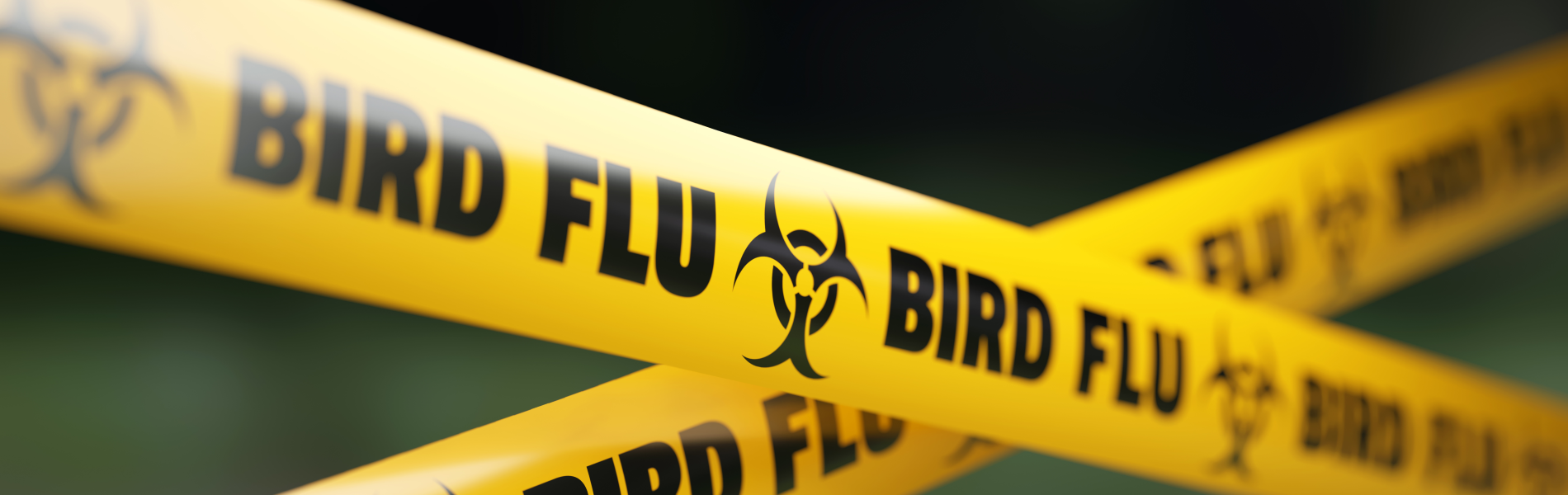 Bird Flu World Fisheries and Aquaculture 2022