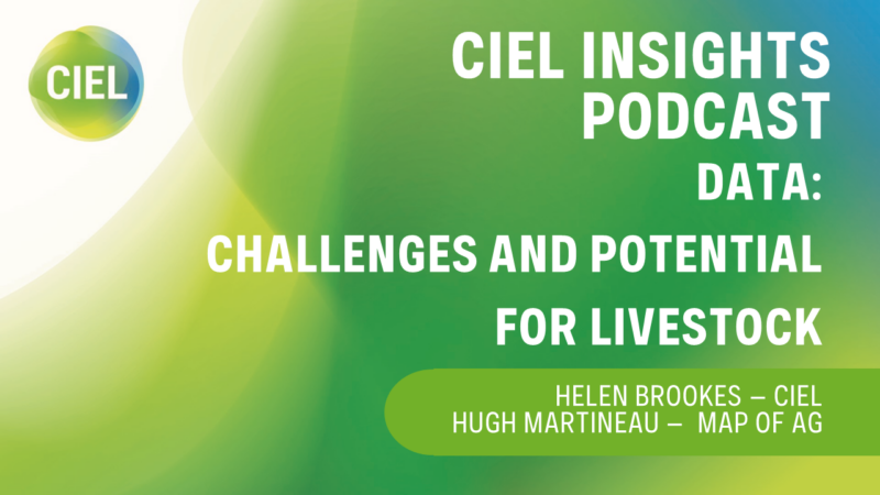 CIEL INSIGHTS Podcast
