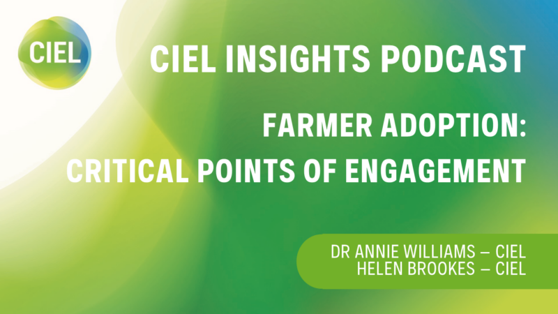 CIEL INSIGHTS Podcast