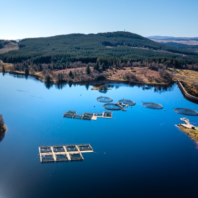 Your chance to influence aquaculture innovation