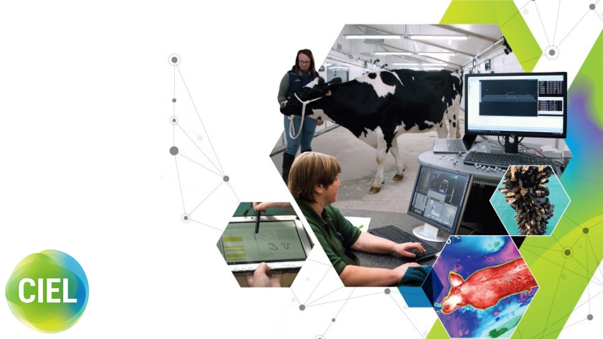 Zoom Events Banner When the whole is greater than the sum of the parts