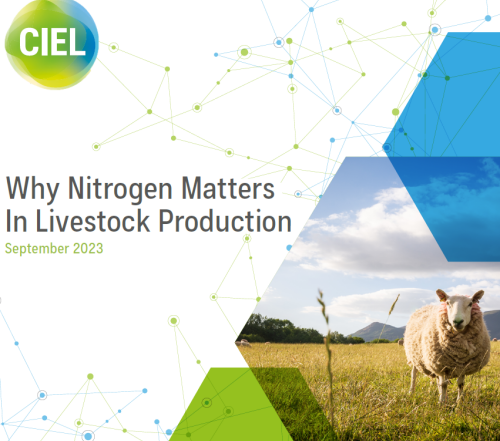 Why Nitrogen Matters in Livestock Production | livestock sector