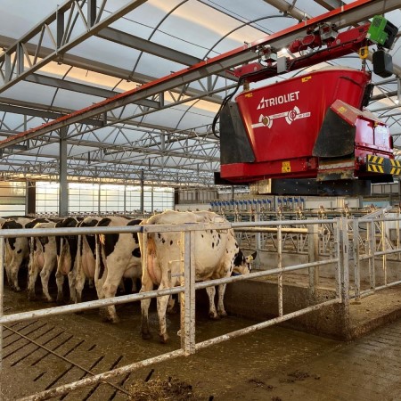 Cows | CIEL | Duchy Future Farm