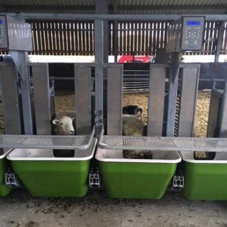 Mobile Sheep Intake Forage Bins | SRUC