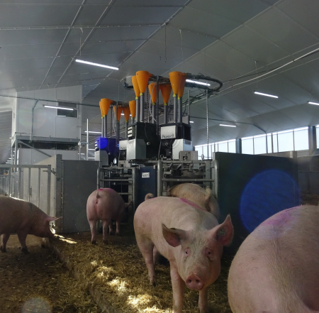 Sow House | National Pig Centre