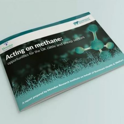 link between ruminant health and methane emissions