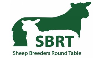 Sheep Breeders Round Table 2022