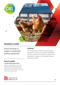 Bristol Poultry Research Farm - insect farming