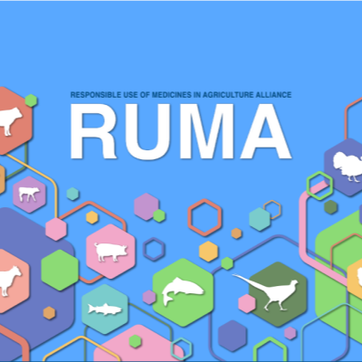 RUMA targets task force 2 report