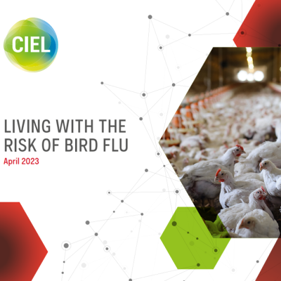 Living with the Risk of Bird flu April 2023 | Industry report