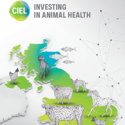CIEL highlights importance of investing in animal health