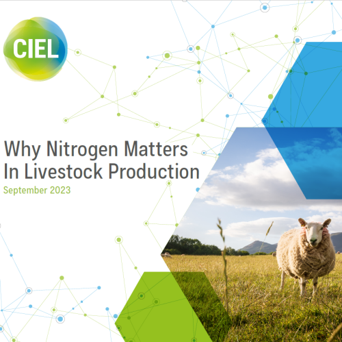 Why Nitrogen Matters in Livestock Production | livestock sector