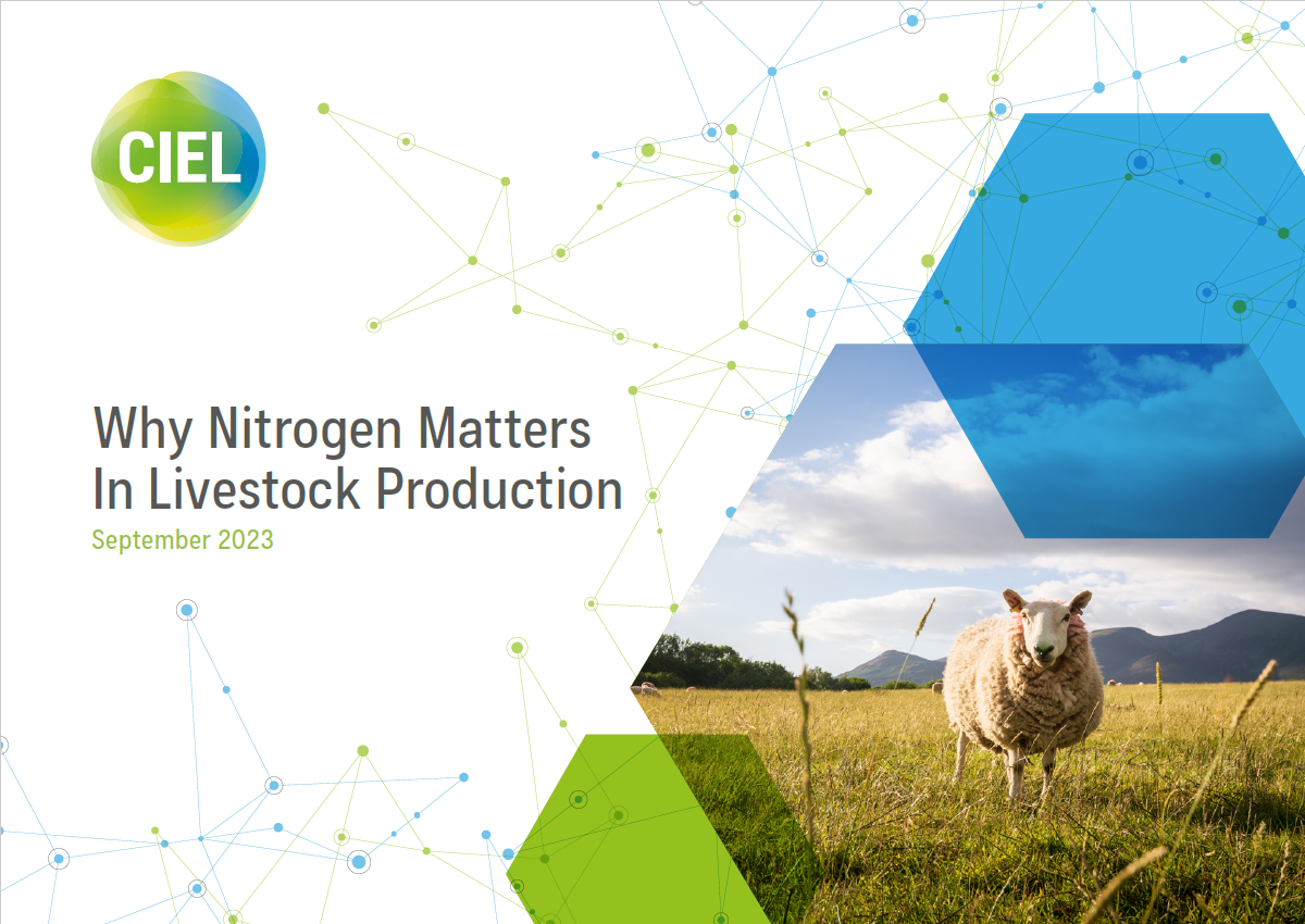 Why Nitrogen Matters in Livestock Production